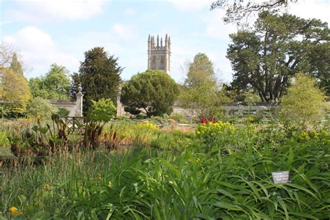  Oxford Botanic Garden - Biển Cỏ Thật Vô Tình Giữa Lòng Thành Phố Oxford