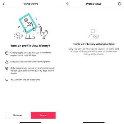 Does TikTok Still Show Who Viewed Your Profile? And Why Do We Even Care About Digital Footprints?