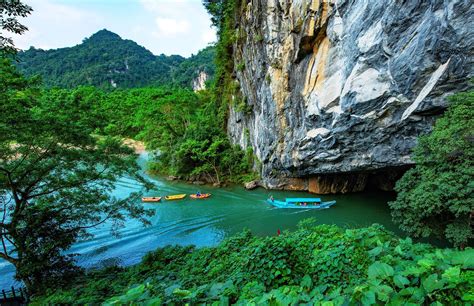  Động Thiên Quang: Hang Đá Kỳ Quan và Khu Vườn Phong Lan Lộng Lẫy!