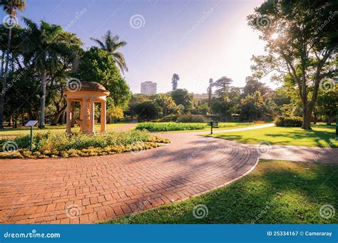  Durban Botanic Gardens: Rộn Ràng Màu Sắc Và Sự Bình Yên Của Thiên Nhiên!